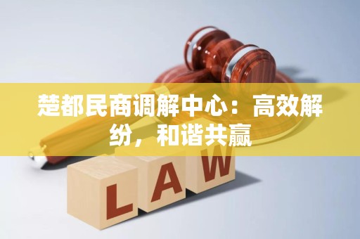 楚都民商调解中心:高效解纷,和谐共赢 楚都民商调解中心:高效解纷,和谐共赢