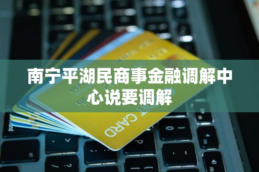 南宁平湖民商事金融调解中心说要调解