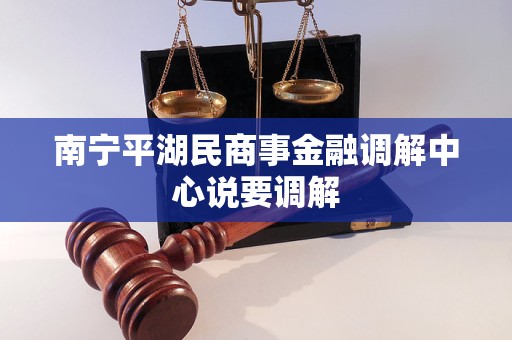 南宁平湖民商事金融调解中心说要调解