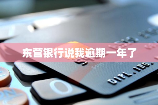 东营银行说我逾期一年了