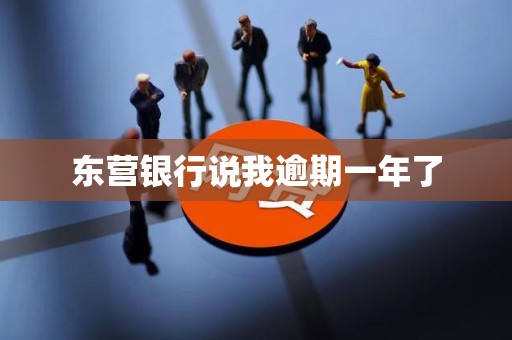 东营银行说我逾期一年了