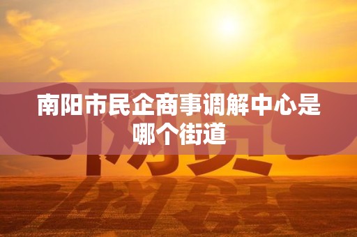 南阳市民企商事调解中心是哪个街道 南阳市民企商事调解中心是哪个街道