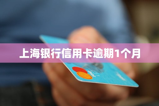 上海银行信用卡逾期1个月