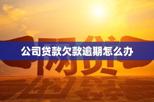 公司贷款欠款逾期怎么办