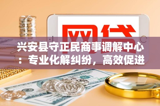 兴安县守正民商事调解中心：专业化解纠纷，高效促进和谐