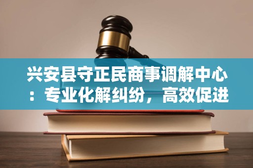 兴安县守正民商事调解中心：专业化解纠纷，高效促进和谐
