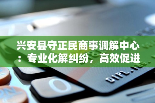 兴安县守正民商事调解中心：专业化解纠纷，高效促进和谐