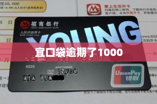 宜口袋逾期了1000 宜口袋逾期了1000