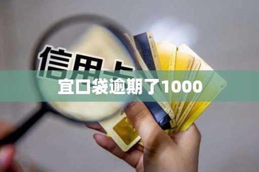 宜口袋逾期了1000 宜口袋逾期了1000