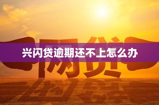 兴闪贷逾期还不上怎么办