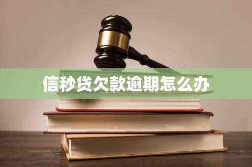 信秒贷欠款逾期怎么办