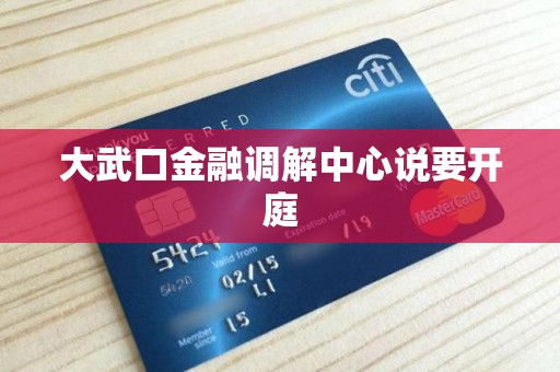 大武口金融调解中心说要开庭