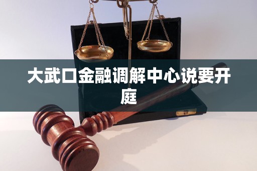 大武口金融调解中心说要开庭