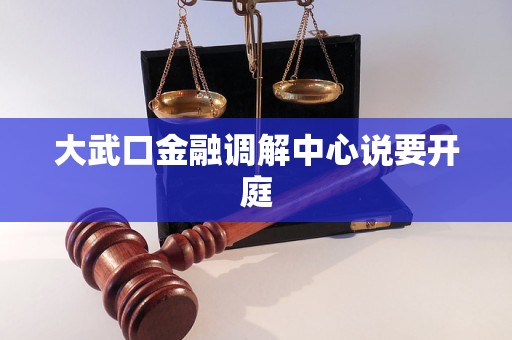 大武口金融调解中心说要开庭