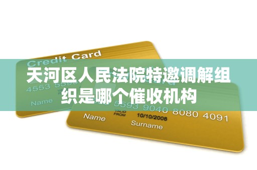 天河区人民法院特邀调解组织是哪个催收机构
