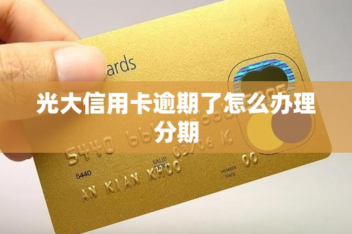 光大信用卡逾期了怎么办理分期