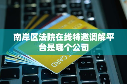 南岸区法院在线特邀调解平台是哪个公司