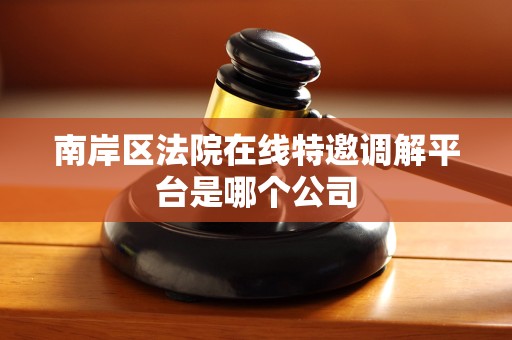 南岸区法院在线特邀调解平台是哪个公司