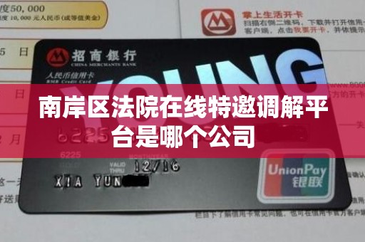 南岸区法院在线特邀调解平台是哪个公司