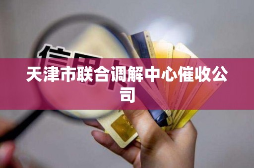 天津市联合调解中心催收公司