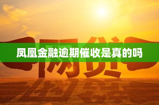 凤凰金融逾期催收是真的吗 凤凰金融逾期催收是真的吗