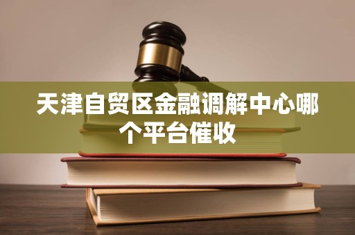 天津自贸区金融调解中心哪个平台催收
