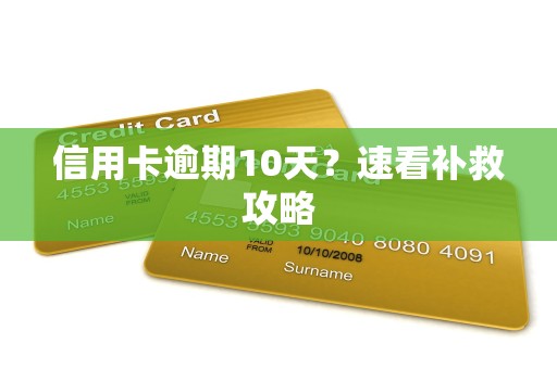 信用卡逾期10天？速看补救攻略