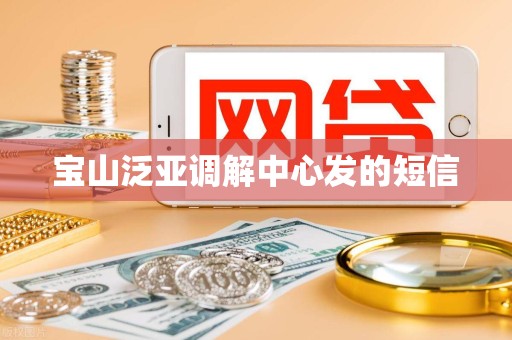 宝山泛亚调解中心发的短信