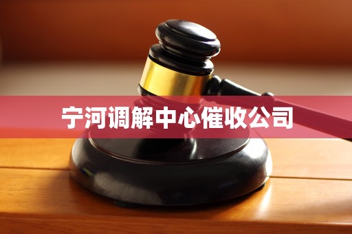 宁河调解中心催收公司