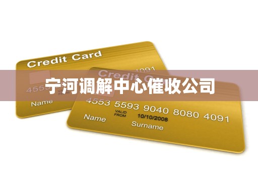 宁河调解中心催收公司