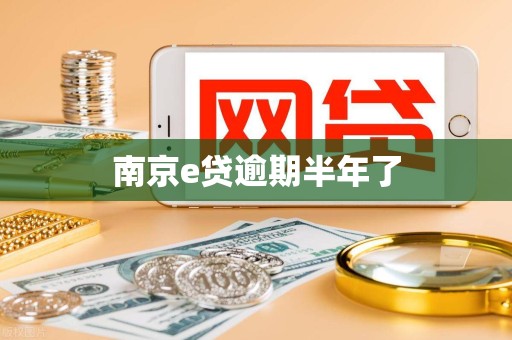 南京e贷逾期半年了