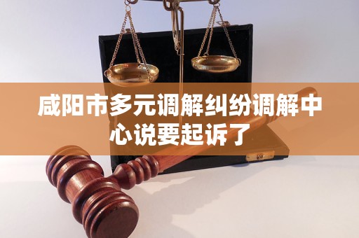 咸阳市多元调解纠纷调解中心说要起诉了