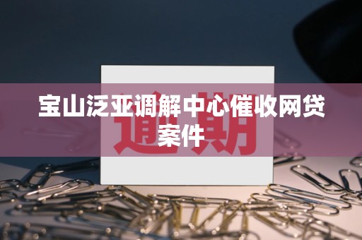 宝山泛亚调解中心催收网贷案件