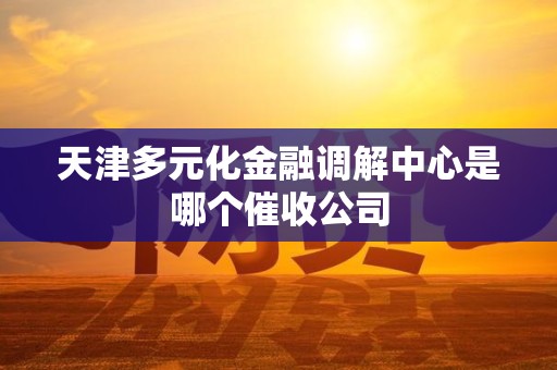 天津多元化金融调解中心是哪个催收公司