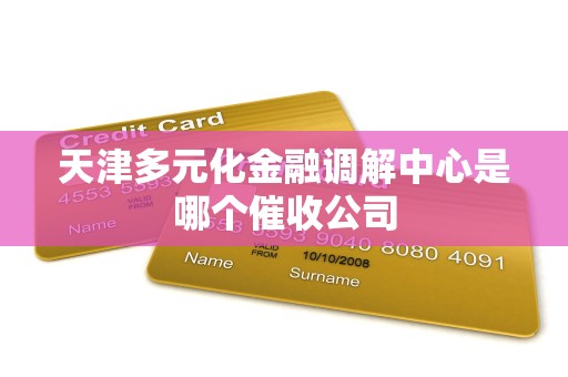 天津多元化金融调解中心是哪个催收公司