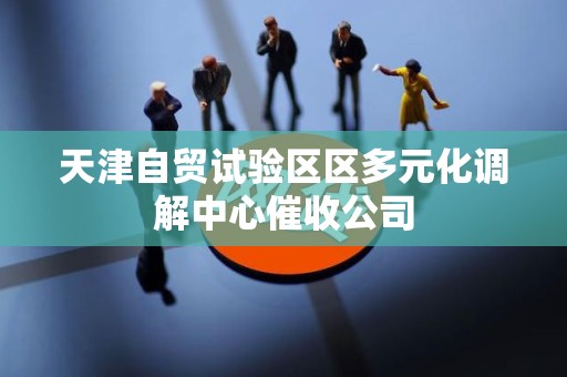 天津自贸试验区区多元化调解中心催收公司 天津自贸试验区区多元化调解中心催收公司