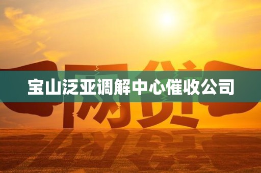 宝山泛亚调解中心催收公司
