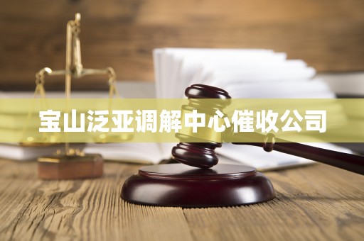 宝山泛亚调解中心催收公司