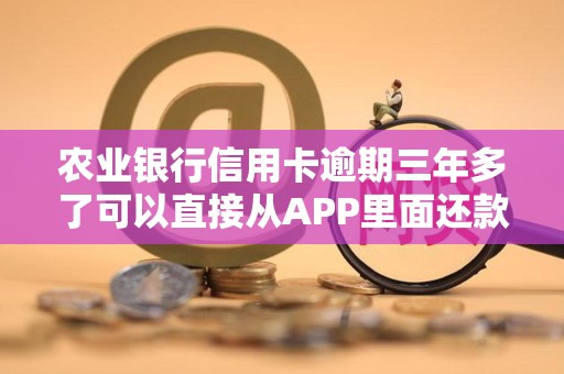 农业银行信用卡逾期三年多了可以直接从APP里面还款吗