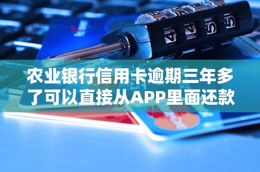 农业银行信用卡逾期三年多了可以直接从APP里面还款吗