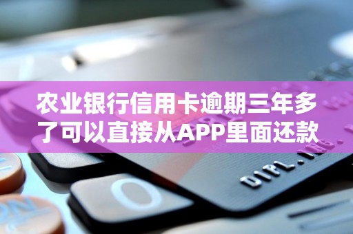 农业银行信用卡逾期三年多了可以直接从APP里面还款吗