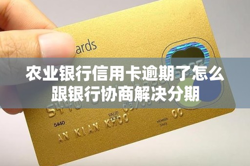 农业银行信用卡逾期了怎么跟银行协商解决分期