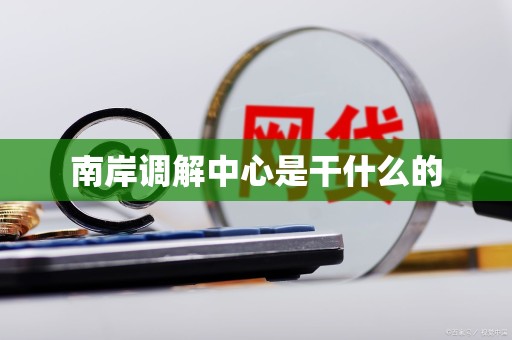 南岸调解中心是干什么的