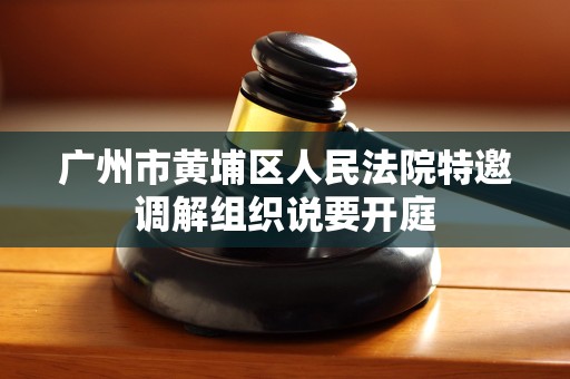 广州市黄埔区人民法院特邀调解组织说要开庭