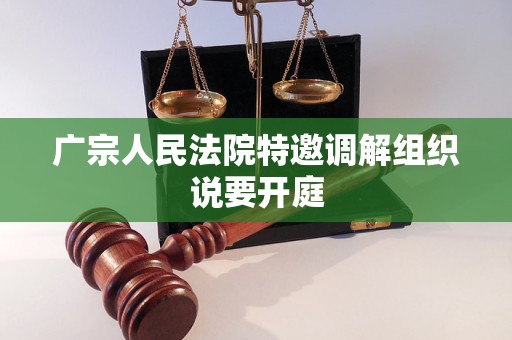 广宗人民法院特邀调解组织说要开庭