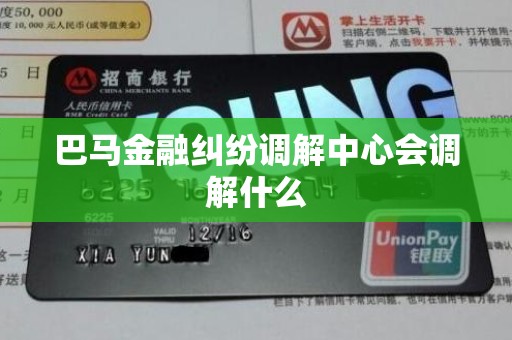巴马金融纠纷调解中心会调解什么