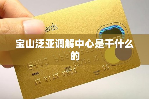 宝山泛亚调解中心是干什么的