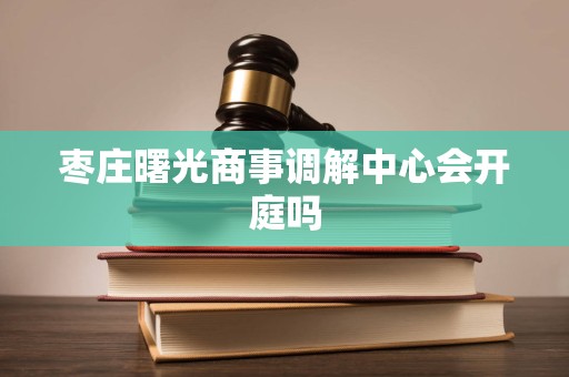 枣庄曙光商事调解中心会开庭吗