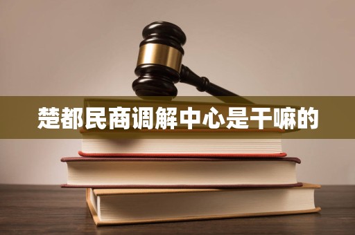 楚都民商调解中心是干嘛的