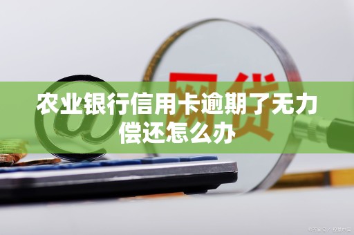 农业银行信用卡逾期了无力偿还怎么办